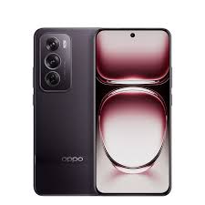 Reno · 12 · Pro
